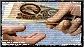1659692491417.png 1659692491417.png