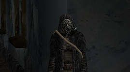 13.png