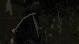 7.png