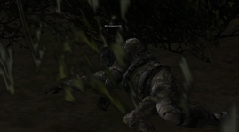 9.png