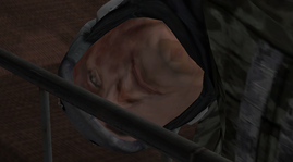 15.png