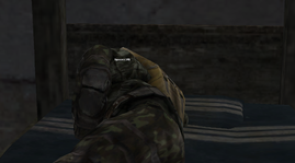 11.png