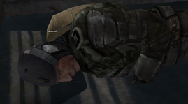 31.png