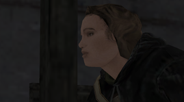 13.png
