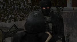 27.png