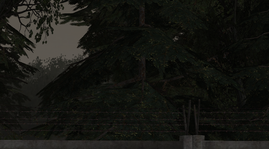 33.png