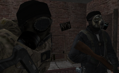 c3.png