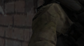 25.png