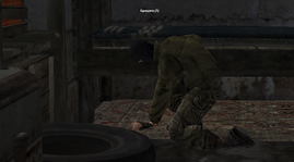 5.png