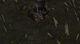 13.png