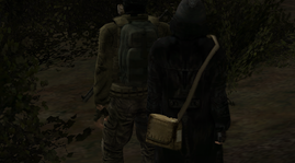 17.png
