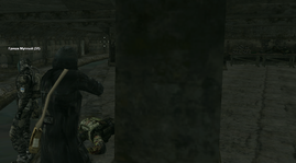 13.png
