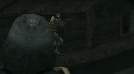 29.png