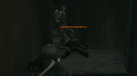 33.png