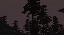 41.png