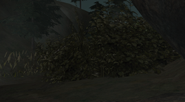 57.png