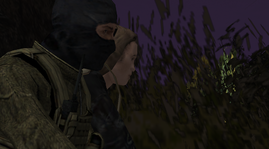 11.png