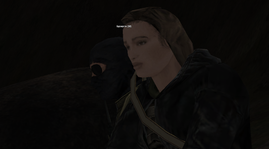 13.png