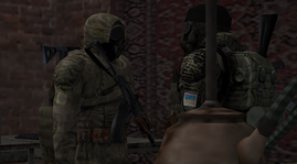 р11.png
