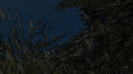 7.png