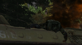 11.png