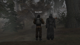 ss3.png