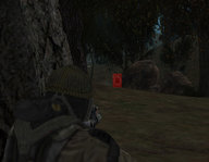 ss1.jpg
