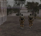 gallery50.jpg
