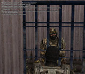 gallery53.jpg
