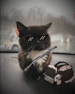 23C7B6CE-0AF1-48D5-99D3-3D15227BB8C8.jpeg