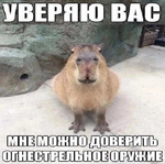 C6ED9FDB-F1D6-4794-A14B-D4177F2906C4.png
