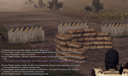 10.png