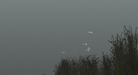 1644654131843.png