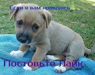 VAK4_IlKW6qVLEhmX1MCFH-eauR3YkWza1wDKVPyDtoRXoSyZBI7NrmaC1eGUkbFmWIoQBNuLJNxQaDVidT0hWml.jpg