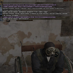 31.png