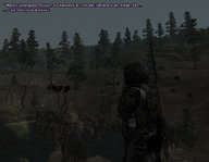 z1.jpg