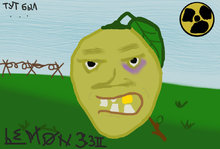 31.jpg
