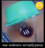ANREw7QKt_GVihCh9f31uyJw4Nm_k1068ILMievbBlbFL1R7mruo-uHfOyQ17EFJuElf4KpR-D5tKK5gQQgUDNnW.jpg