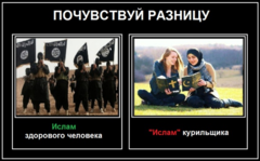1675635366314.png