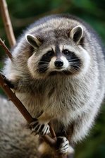 6A9468ED-9C5D-4056-BAA2-A2C45B37D37C.jpeg