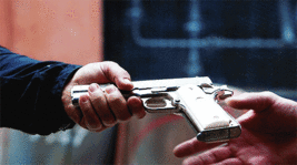 IdealUnimportantAiredale-size_restricted.gif