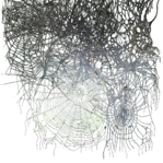 decail_spidernet_00_1.png