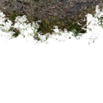 decail_watertrash_02_1.png