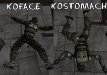 koface_kostomach.png