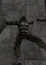 flip.png