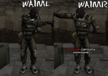 waiml_waimr.png