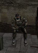 hsit.png
