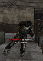 pullo.png