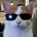 1677846313729.png
