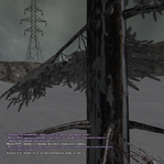 15.png